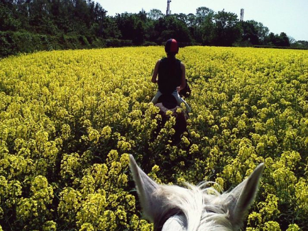 Private Riding in Shropshire 